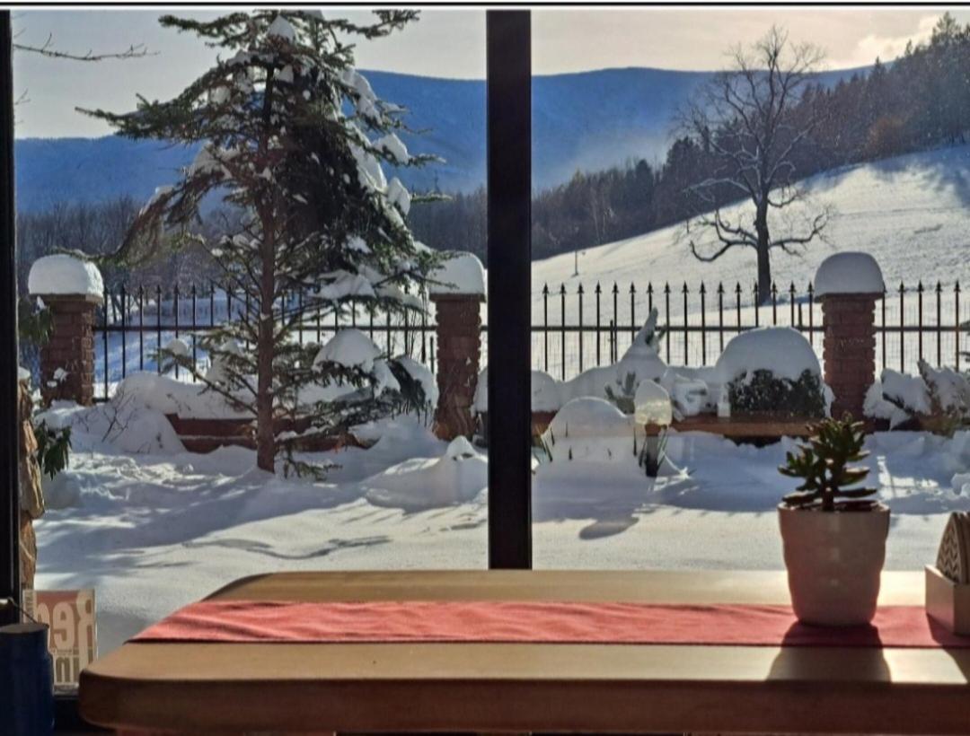 Gorski Widok Karpacz Apartamenty I Pokoje- Salon Kominkowy Экстерьер фото
